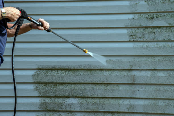 Local Pressure Washing Services in Fowlkes, TN